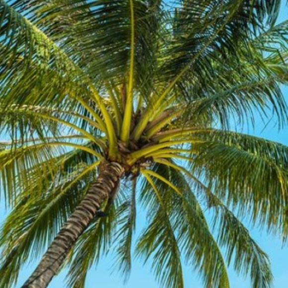 Meet your Posher, Rebecca - Picture 1 of 1